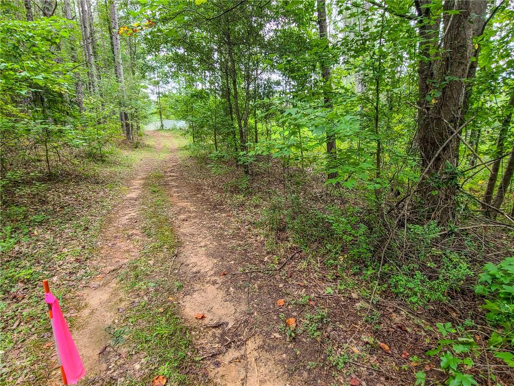 0 Lot 15 Dunklin Bridge Road Road, Fountain Inn, South Carolina image 9