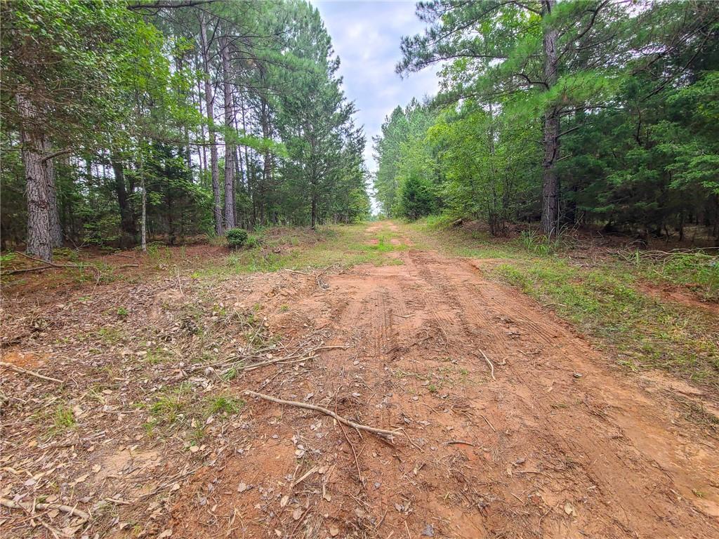 0 Lot 15 Dunklin Bridge Road Road, Fountain Inn, South Carolina image 3