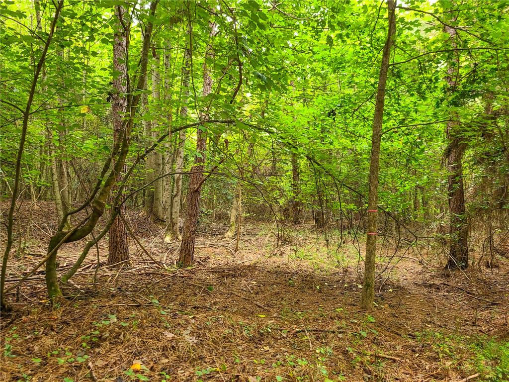 0 Lot 15 Dunklin Bridge Road Road, Fountain Inn, South Carolina image 20