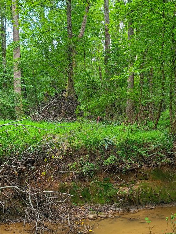 0 Lot 15 Dunklin Bridge Road Road, Fountain Inn, South Carolina image 49
