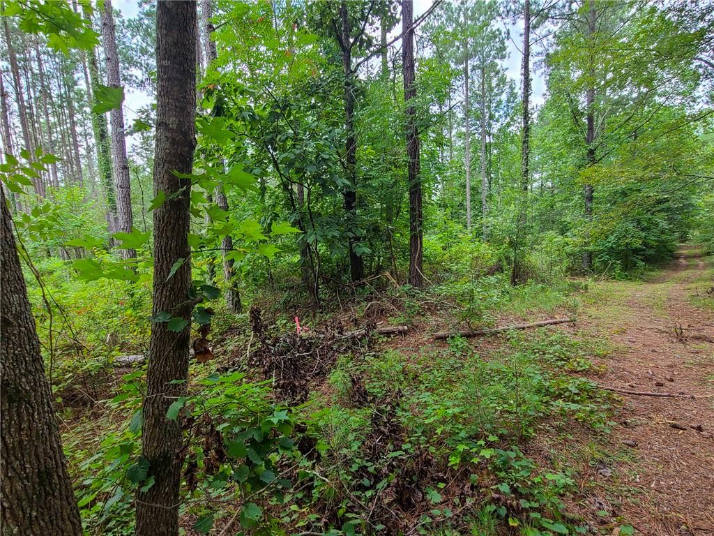 0 Lot 15 Dunklin Bridge Road Road, Fountain Inn, South Carolina image 6