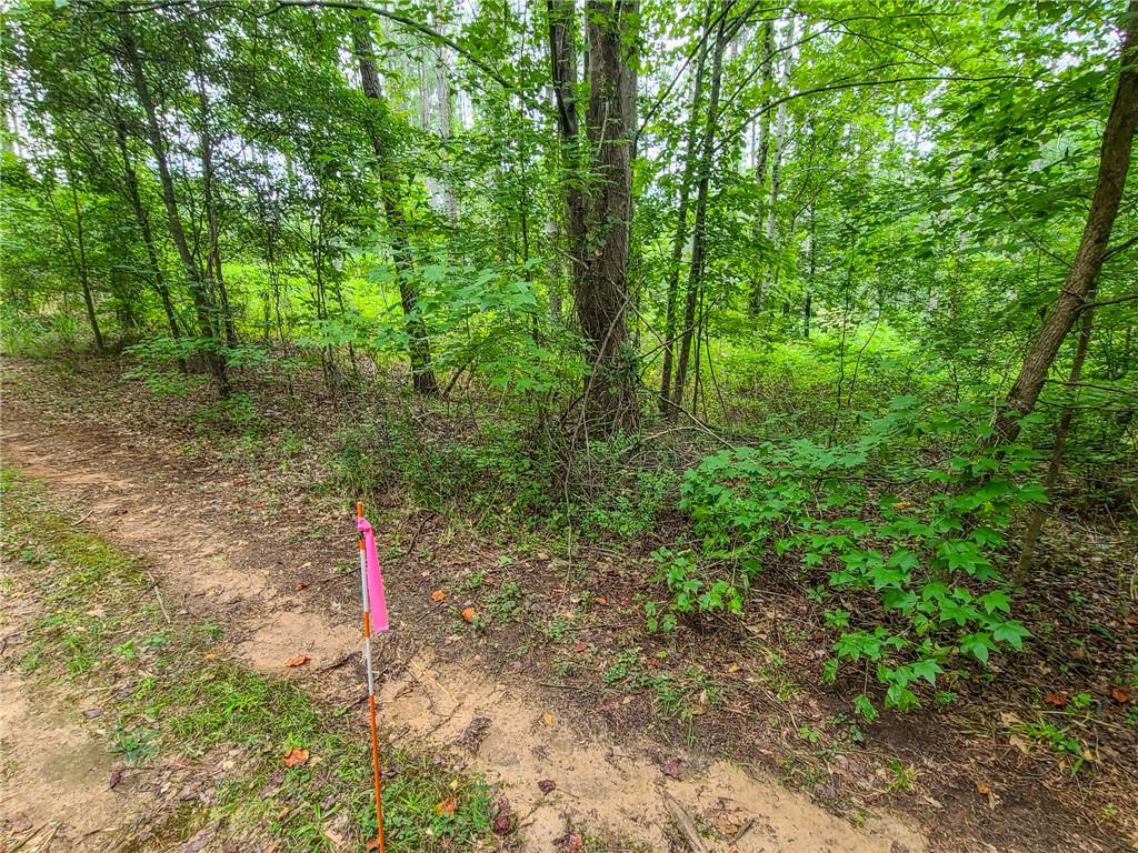 0 Lot 15 Dunklin Bridge Road Road, Fountain Inn, South Carolina image 10