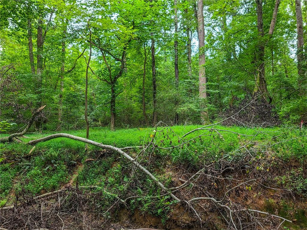 0 Lot 15 Dunklin Bridge Road Road, Fountain Inn, South Carolina image 16
