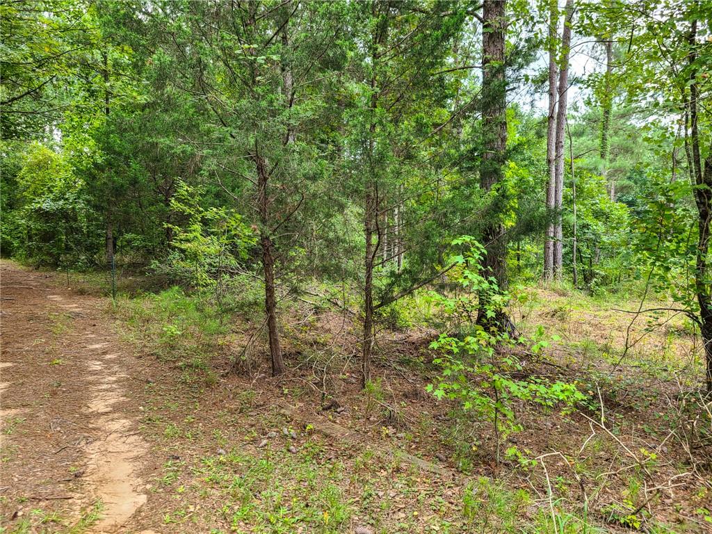 0 Lot 15 Dunklin Bridge Road Road, Fountain Inn, South Carolina image 13