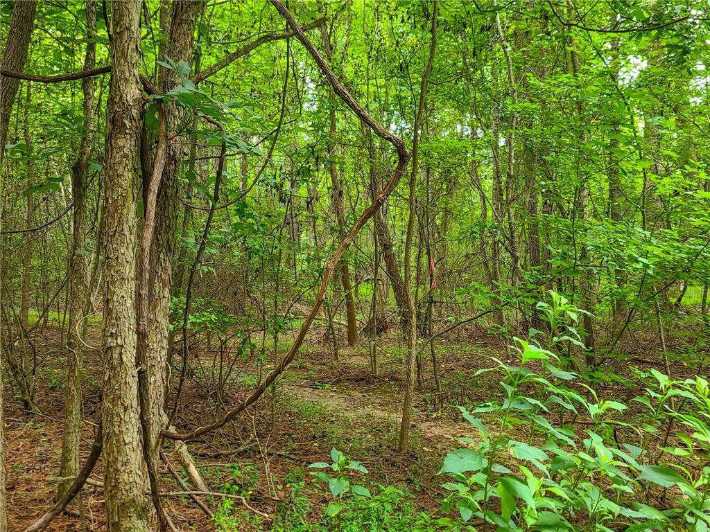 0 Lot 15 Dunklin Bridge Road Road, Fountain Inn, South Carolina image 19