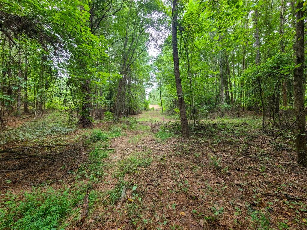 0 Lot 15 Dunklin Bridge Road Road, Fountain Inn, South Carolina image 37