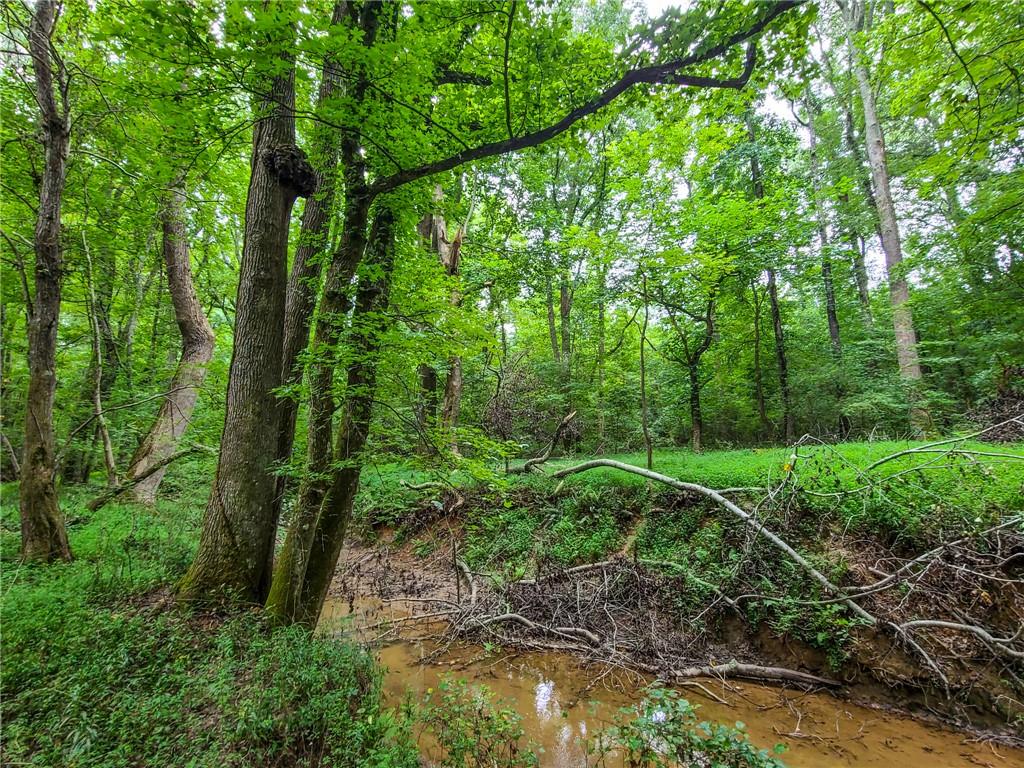 0 Lot 15 Dunklin Bridge Road Road, Fountain Inn, South Carolina image 15