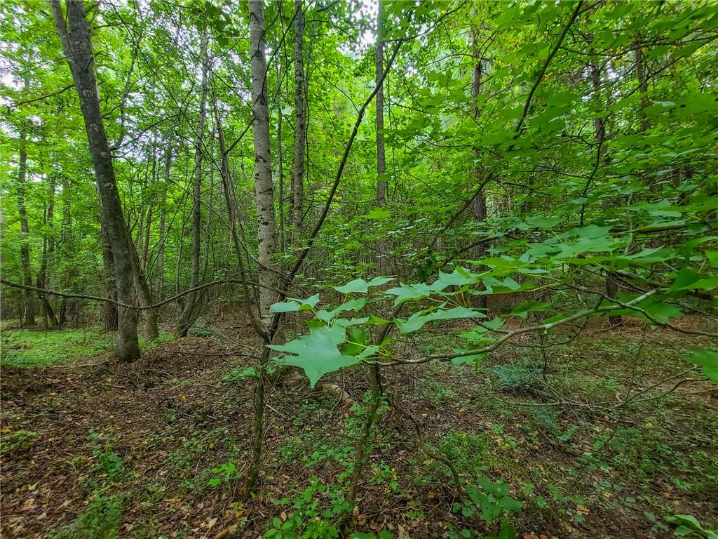 0 Lot 15 Dunklin Bridge Road Road, Fountain Inn, South Carolina image 45