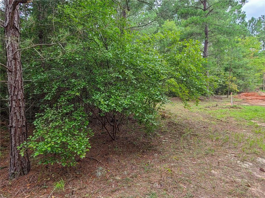 0 Lot 15 Dunklin Bridge Road Road, Fountain Inn, South Carolina image 27