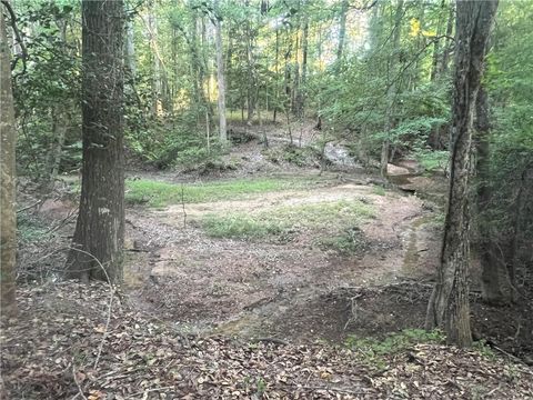 A home in Williamston