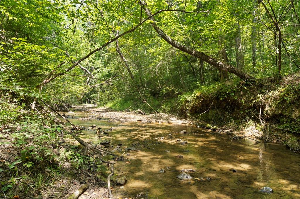 TR 2 Cobb Bridge Road, Westminster, South Carolina image 8