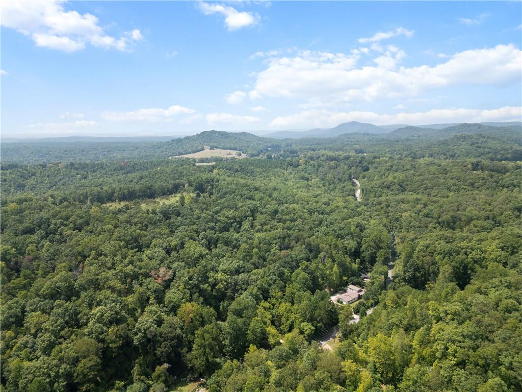 TR 2 Cobb Bridge Road, Westminster, South Carolina image 5