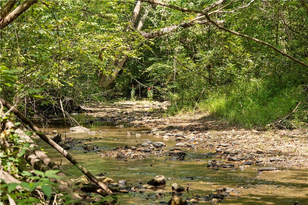 TR 2 Cobb Bridge Road, Westminster, South Carolina image 7