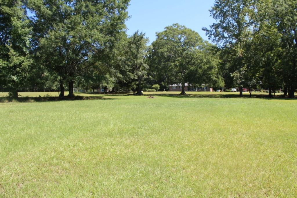 Lot B Sam Drive, Belton, South Carolina image 9