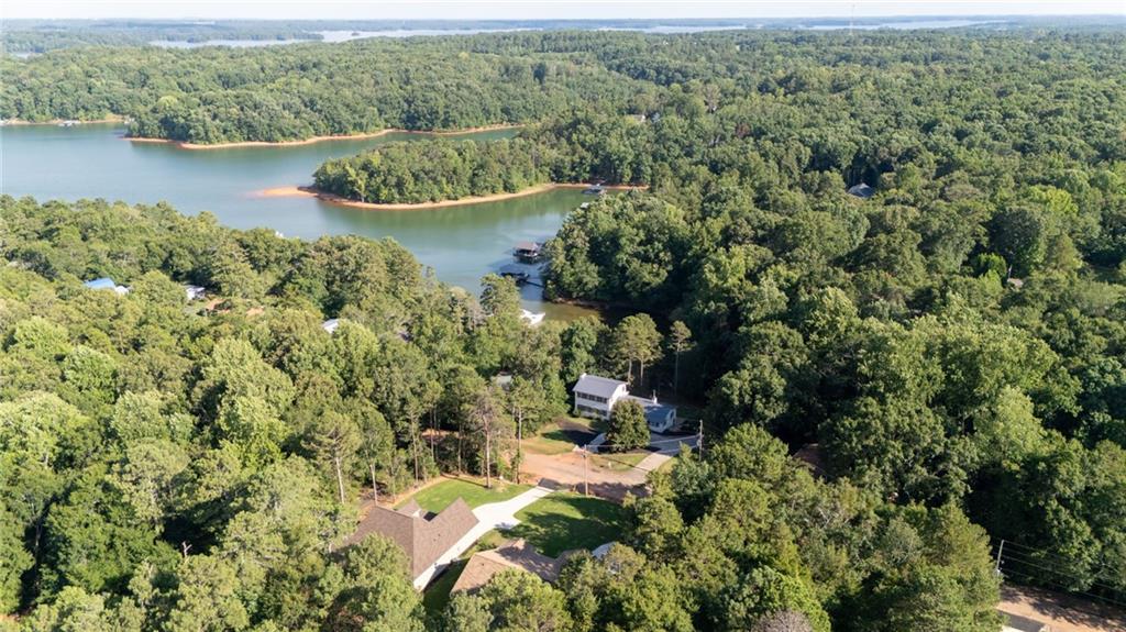 125 Portman Drive, Townville, South Carolina image 48