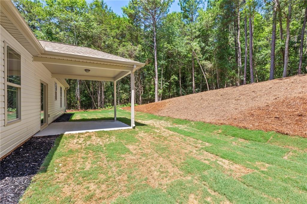 125 Portman Drive, Townville, South Carolina image 39