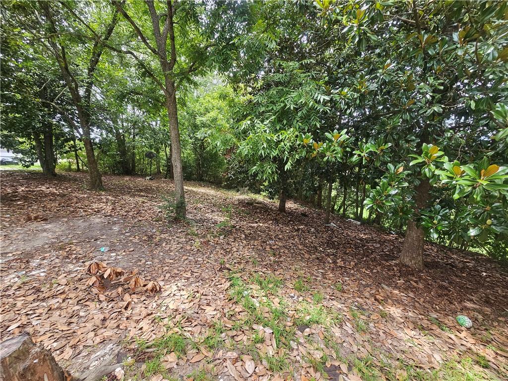 301 Hammett Street, Honea Path, South Carolina image 10