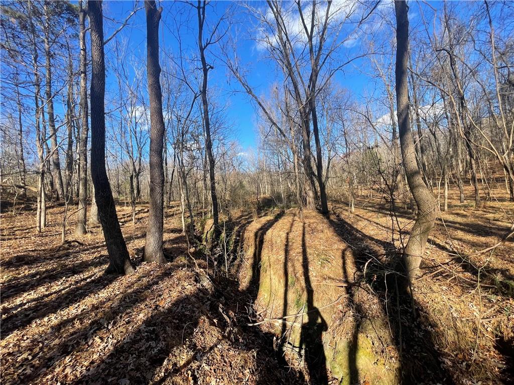 00 Mill Creek Road, Blacksburg, South Carolina image 34