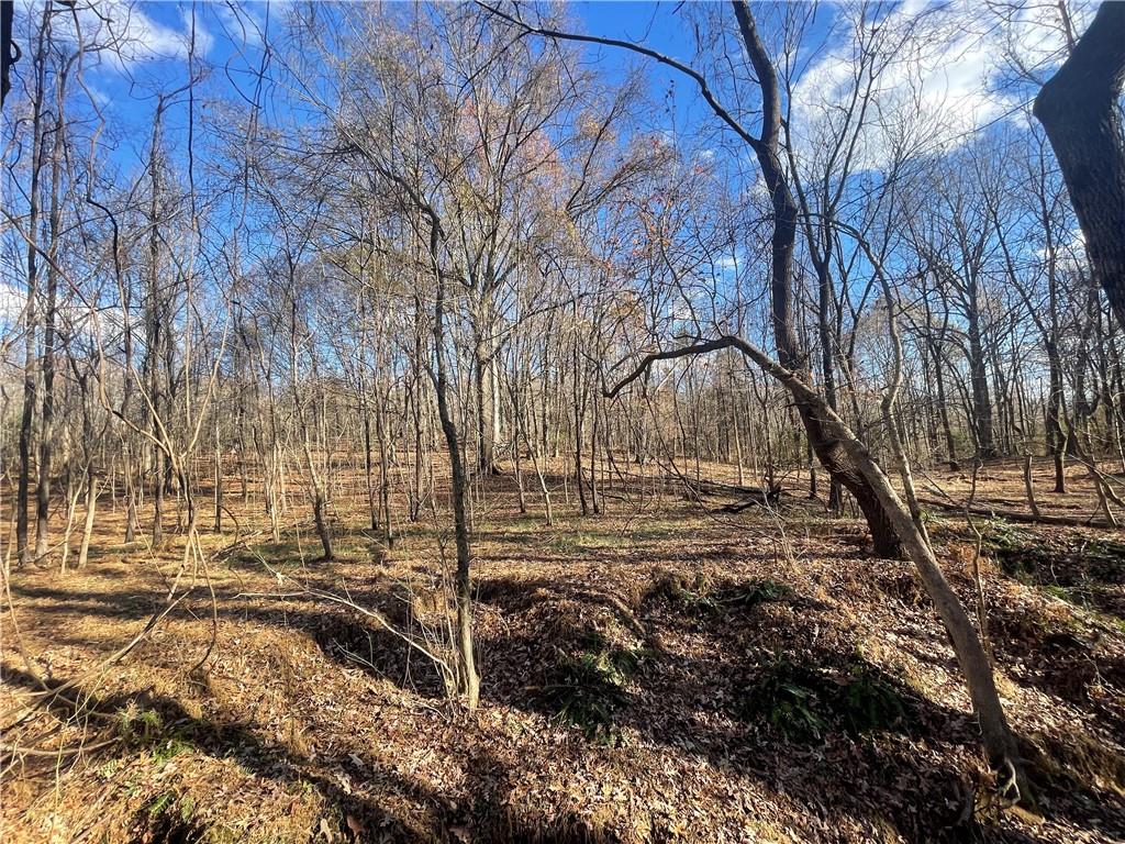 00 Mill Creek Road, Blacksburg, South Carolina image 33