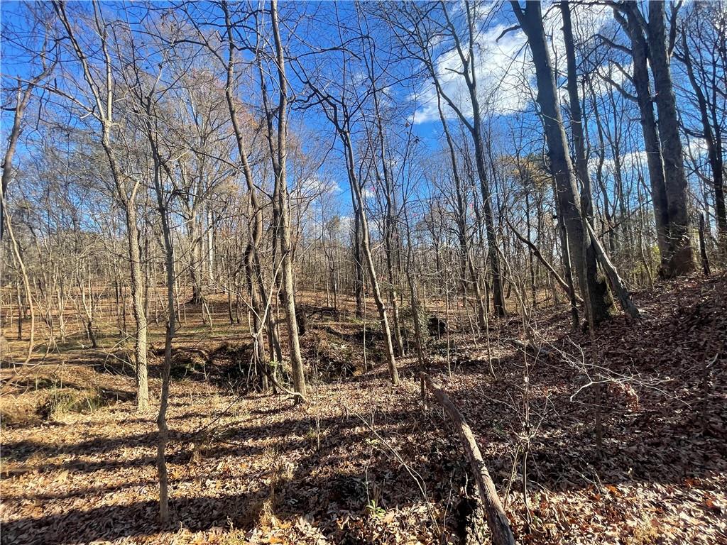 00 Mill Creek Road, Blacksburg, South Carolina image 30