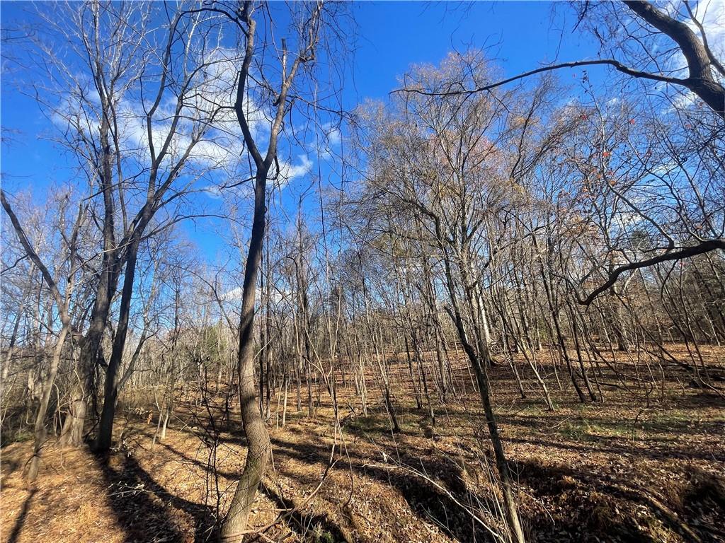 00 Mill Creek Road, Blacksburg, South Carolina image 35