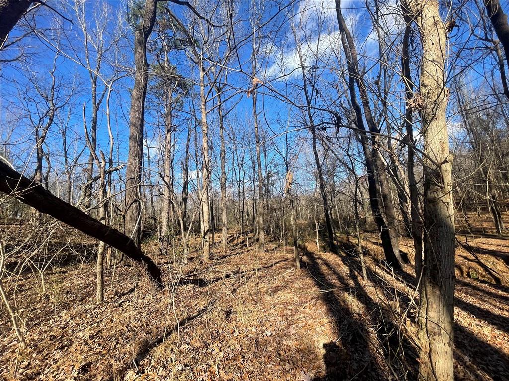 00 Mill Creek Road, Blacksburg, South Carolina image 31