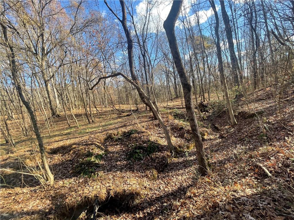 00 Mill Creek Road, Blacksburg, South Carolina image 32