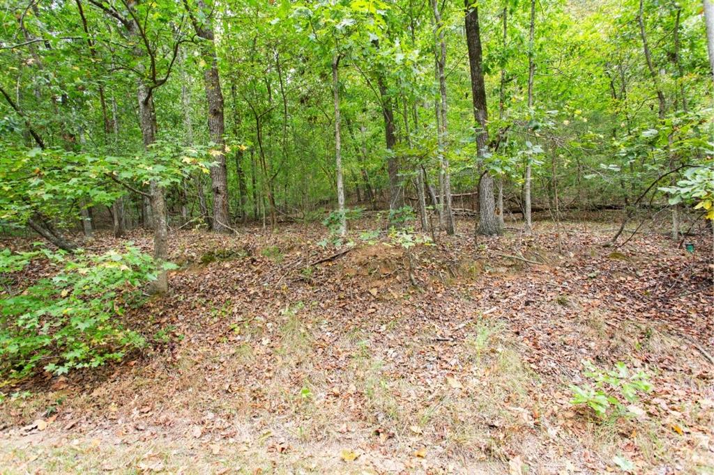 00 S. Sundew Drive, Westminster, South Carolina image 5