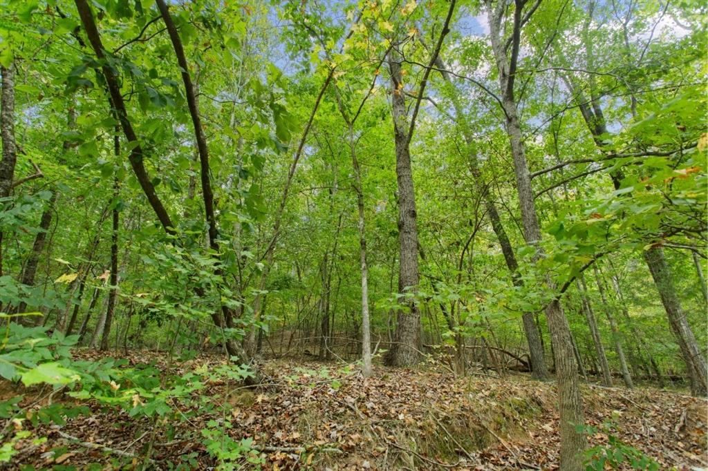 00 S. Sundew Drive, Westminster, South Carolina image 3