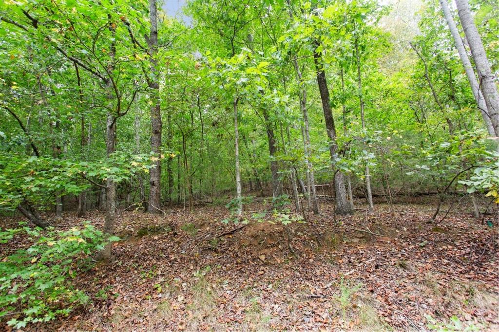 00 S. Sundew Drive, Westminster, South Carolina image 4