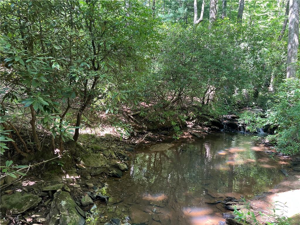 235 Old Henderson Road, Central, South Carolina image 12