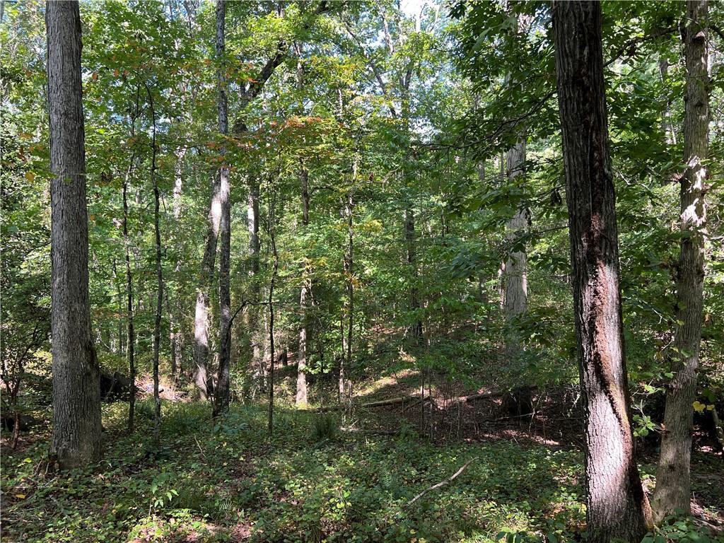 235 Old Henderson Road, Central, South Carolina image 5