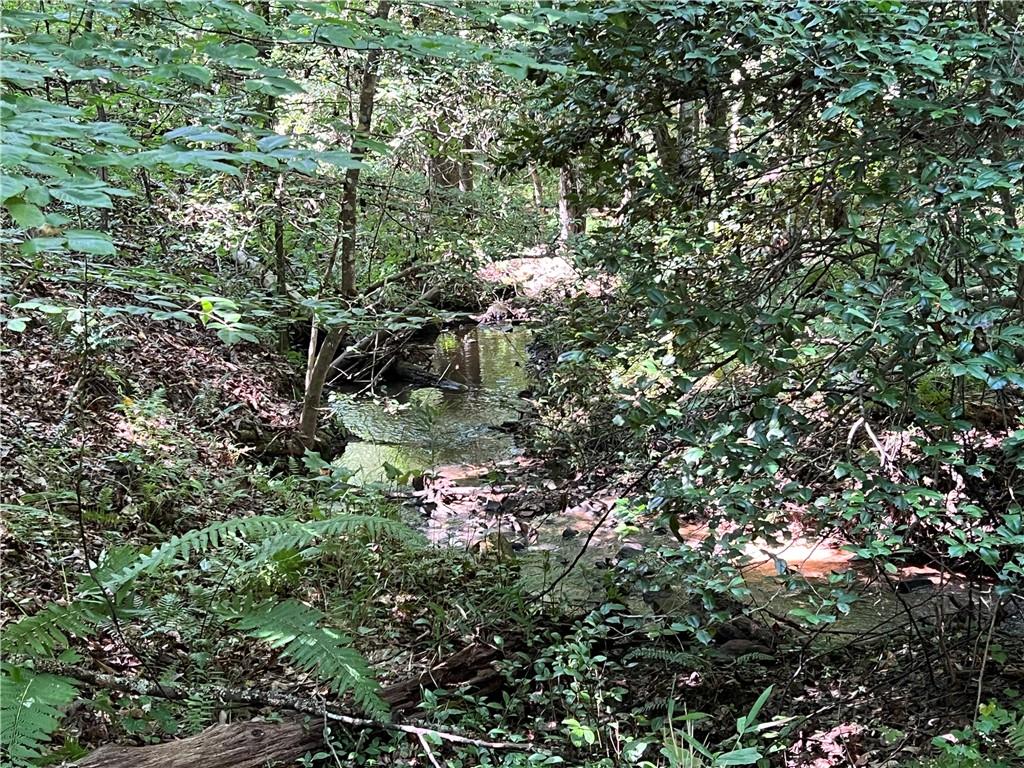 235 Old Henderson Road, Central, South Carolina image 10
