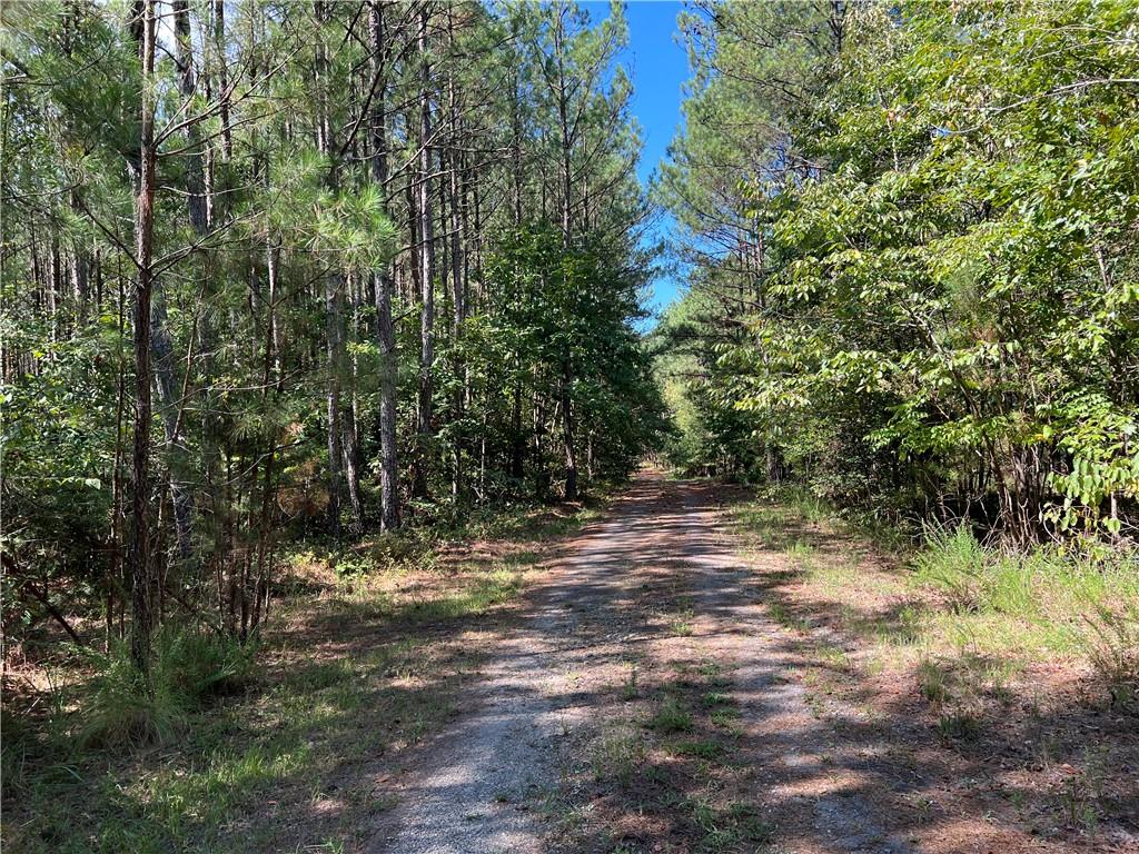 235 Old Henderson Road, Central, South Carolina image 3