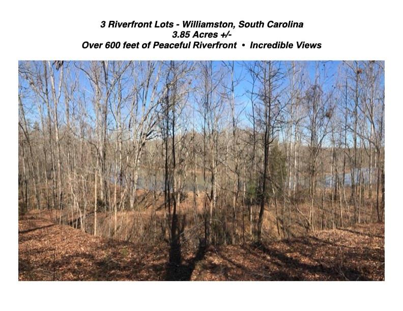 430 Saluda Road, Williamston, South Carolina image 4