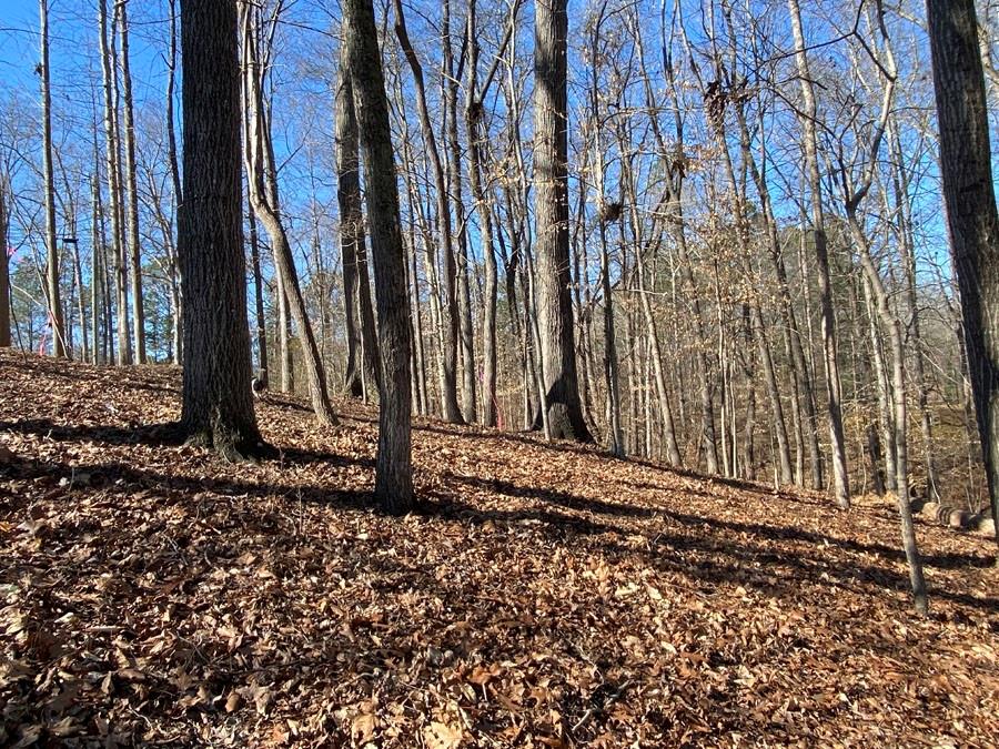 Lot 28 Knottywood Drive, Lavonia, Georgia image 7