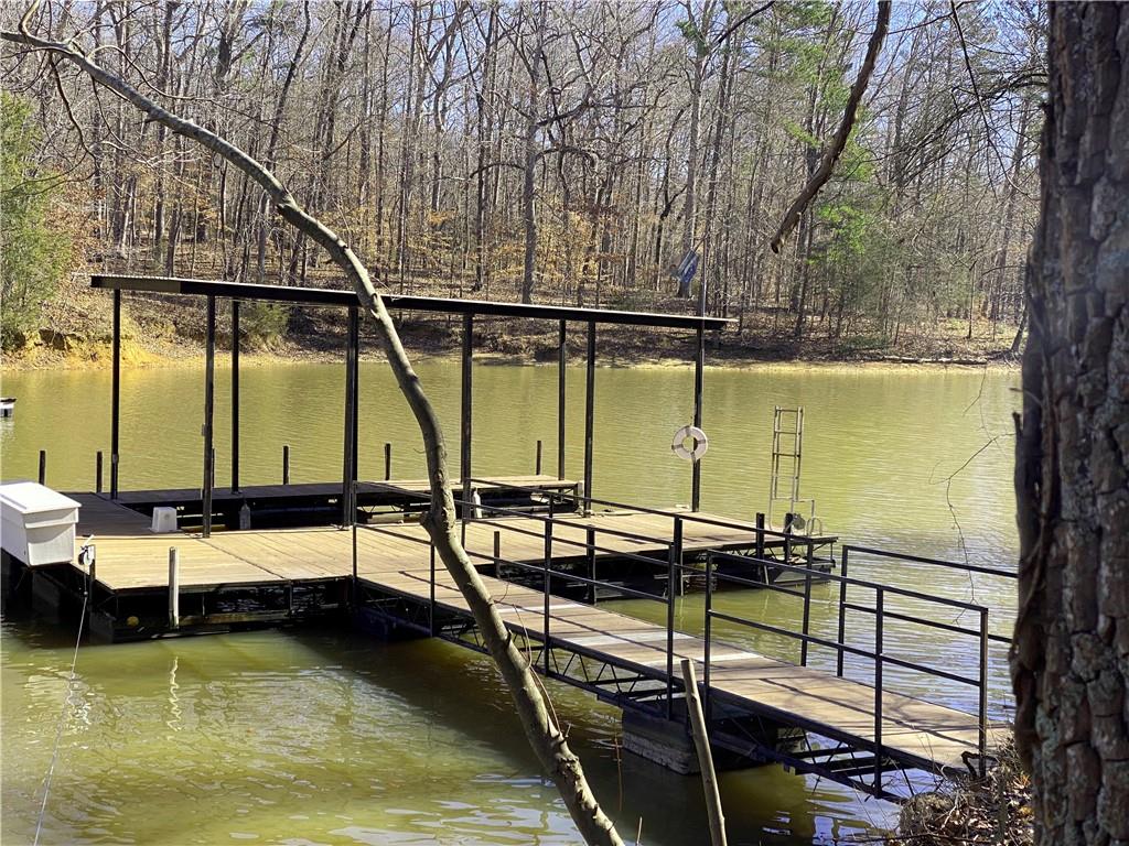Lot 28 Knottywood Drive, Lavonia, Georgia image 1