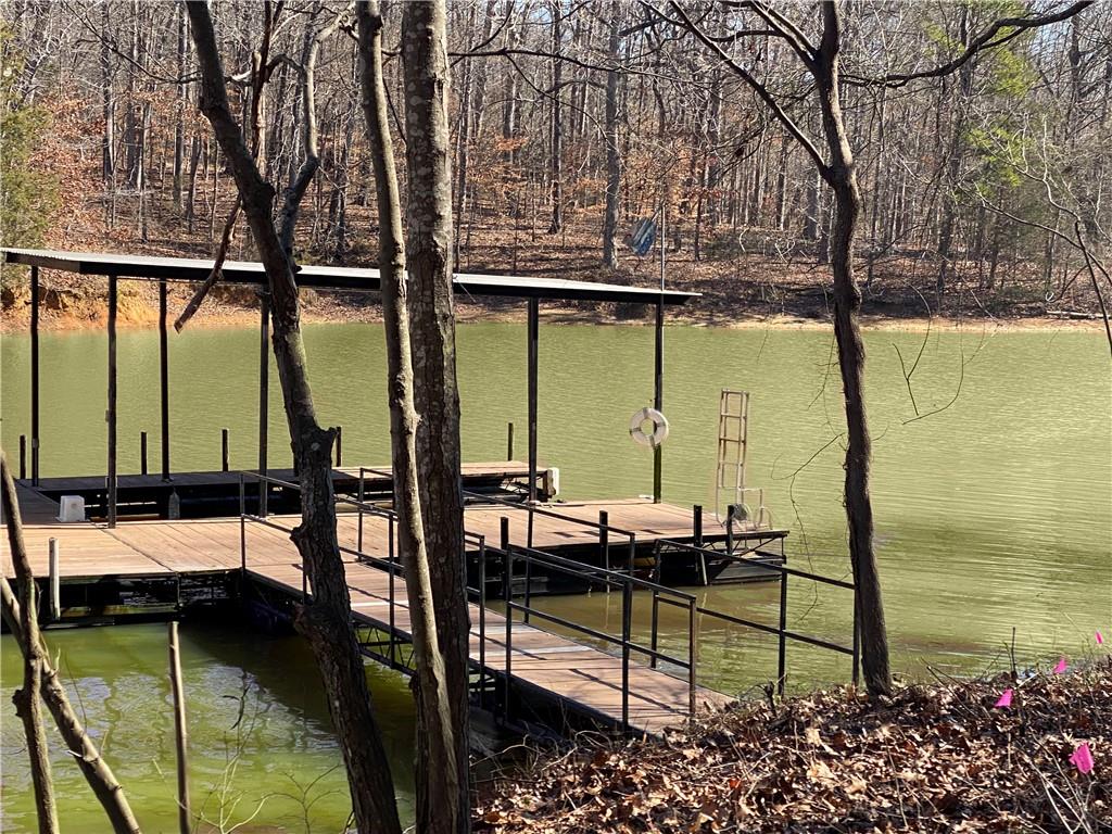 Lot 28 Knottywood Drive, Lavonia, Georgia image 9