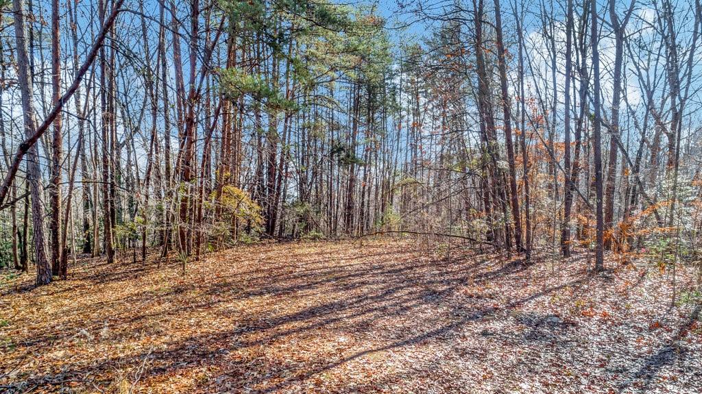 380 Blazer Trail