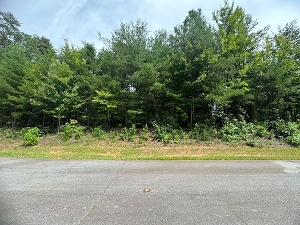 264 Jocassee Ridge Way, Salem, South Carolina image 1