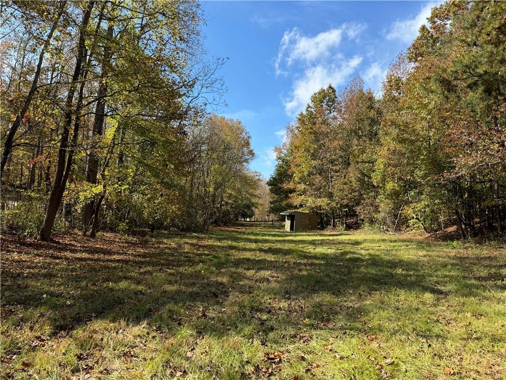 1524 Highway 11, Landrum, South Carolina image 45