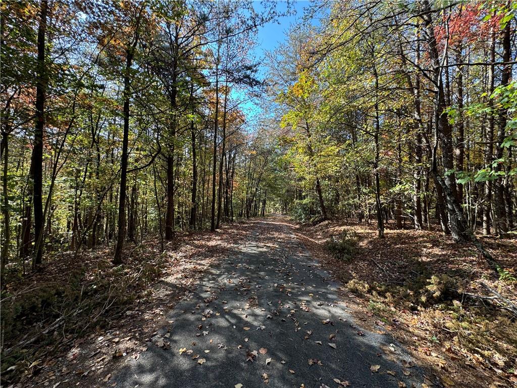 1524 Highway 11, Landrum, South Carolina image 46