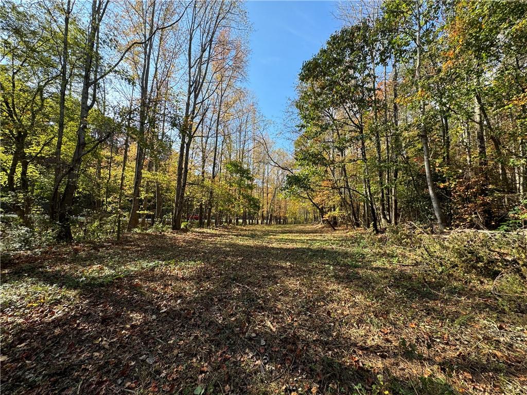 1524 Highway 11, Landrum, South Carolina image 44