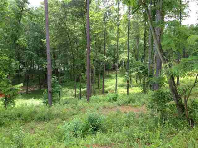 Photo 16 of 24 of Lot 42 Four Pointes N Natures View Drive land