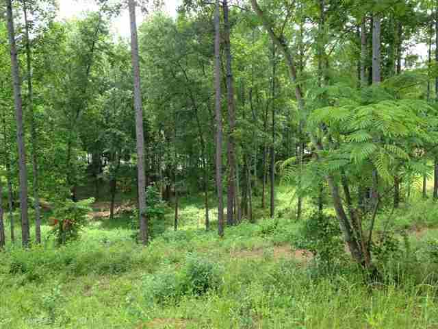 Photo 17 of 24 of Lot 42 Four Pointes N Natures View Drive land