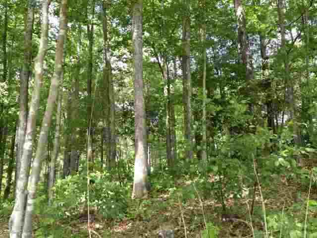Photo 12 of 24 of Lot 42 Four Pointes N Natures View Drive land