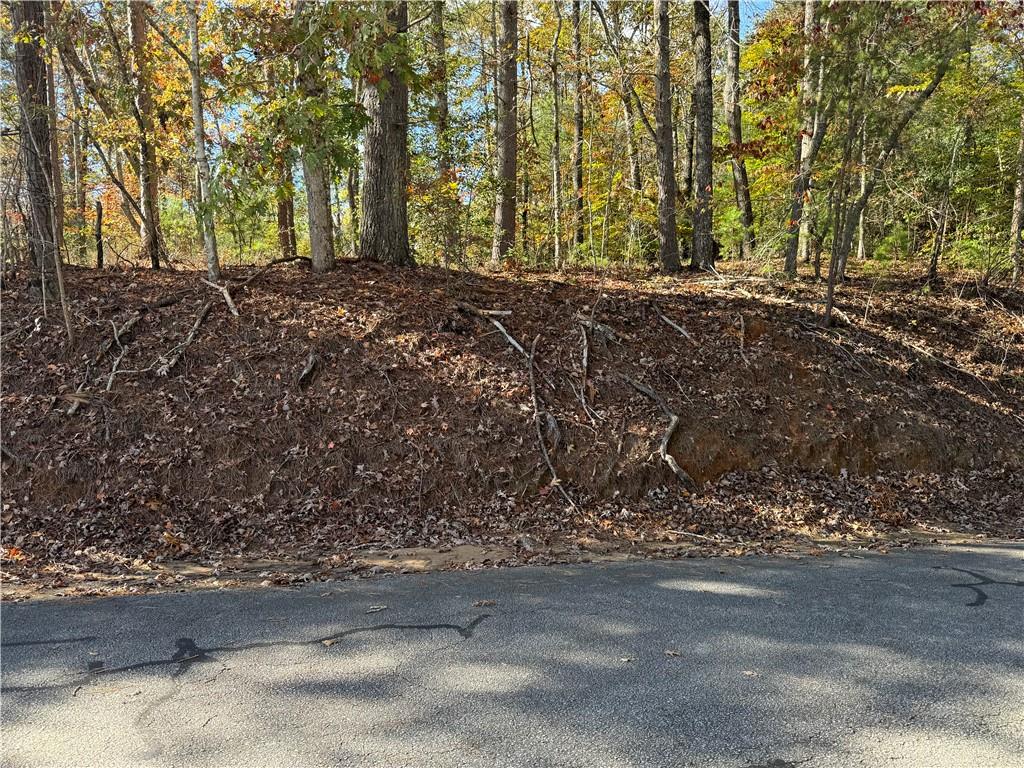 Lot 77 Keowee Bay Drive, Salem, South Carolina image 4
