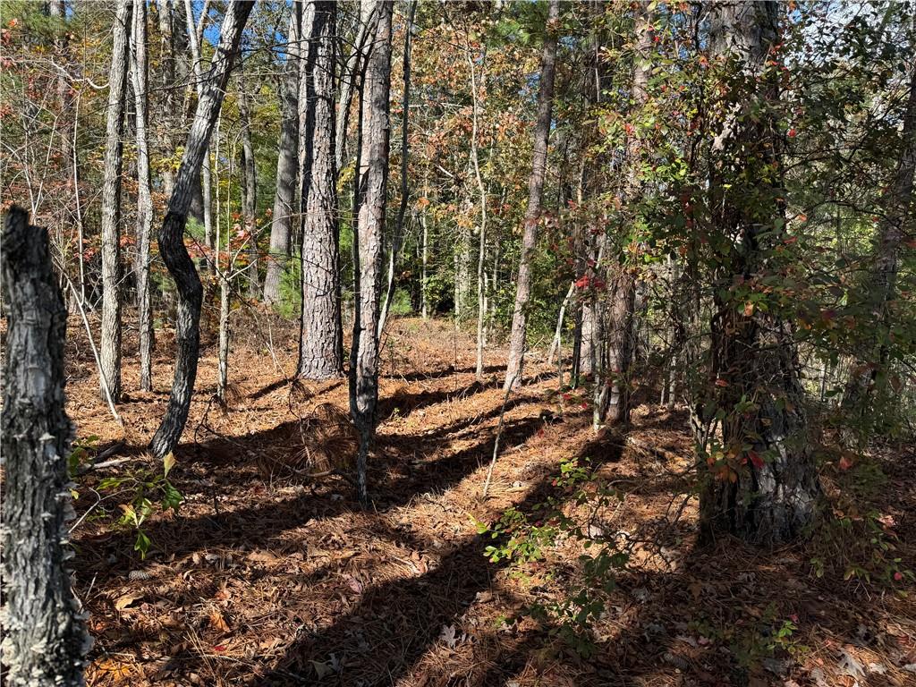Lot 77 Keowee Bay Drive, Salem, South Carolina image 5