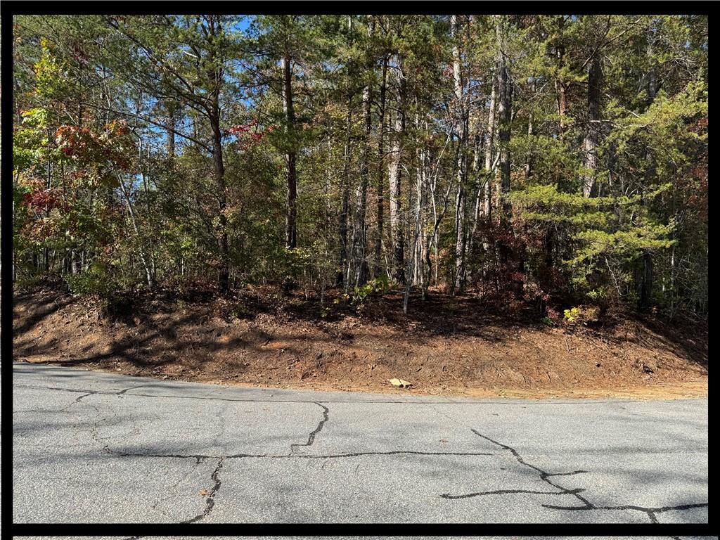 Lot 77 Keowee Bay Drive, Salem, South Carolina image 1
