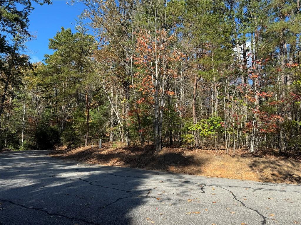 Lot 77 Keowee Bay Drive, Salem, South Carolina image 11